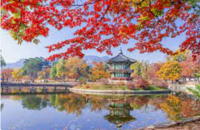 한국 계절 중 가을의 아름다움을 잘 보여주는 경복궁 안의 사진